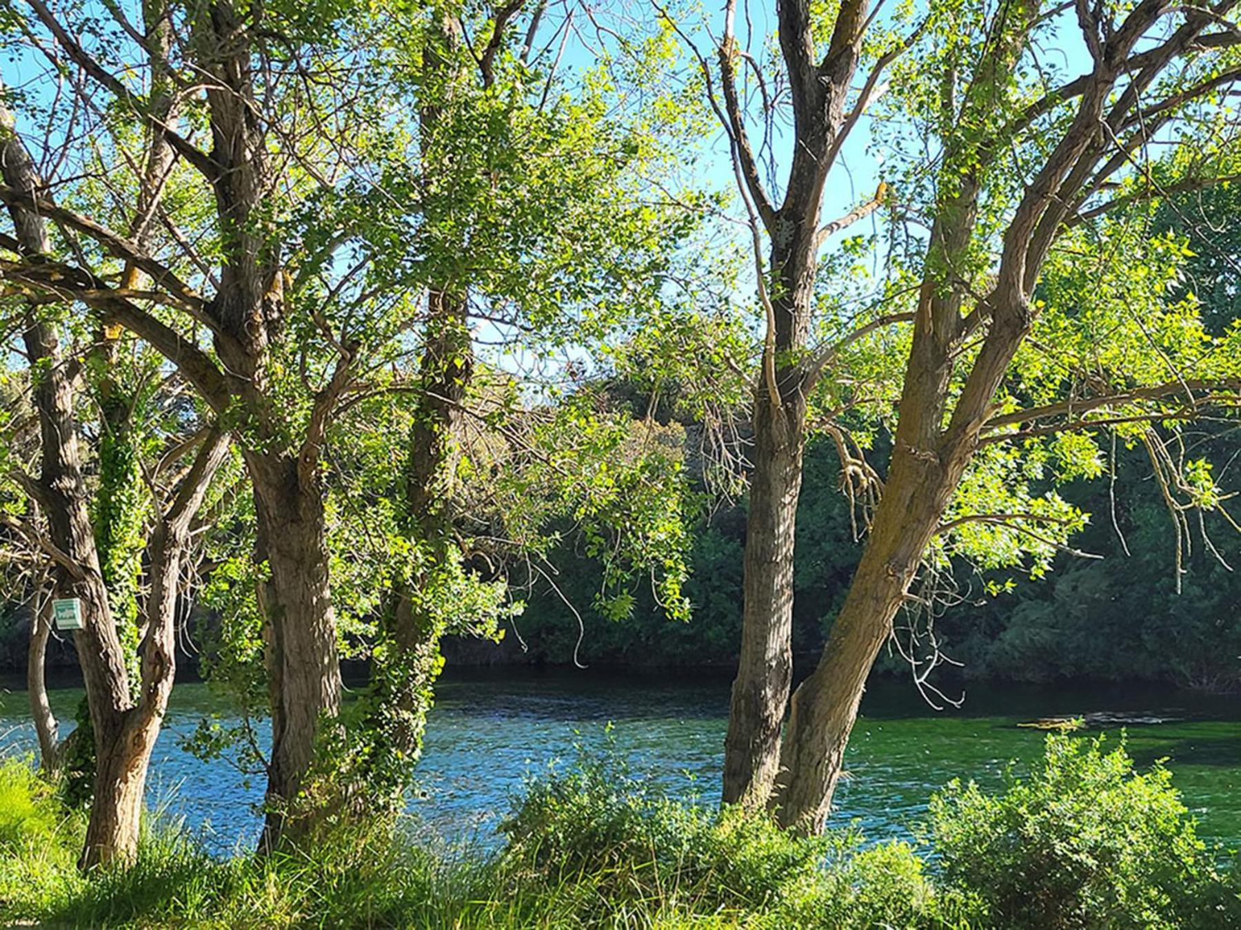 Camping Le Val De Cesse Mirepeisset Kültér fotó